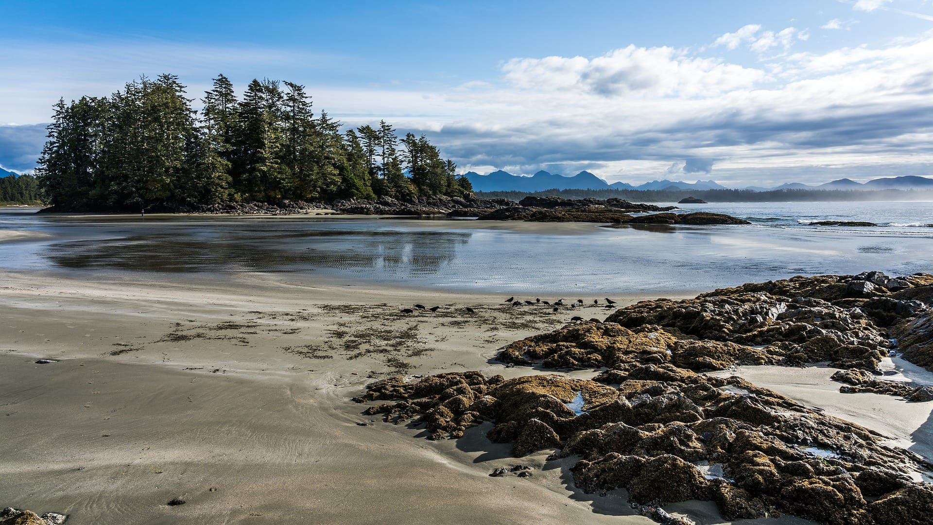 beach airbnb tofino