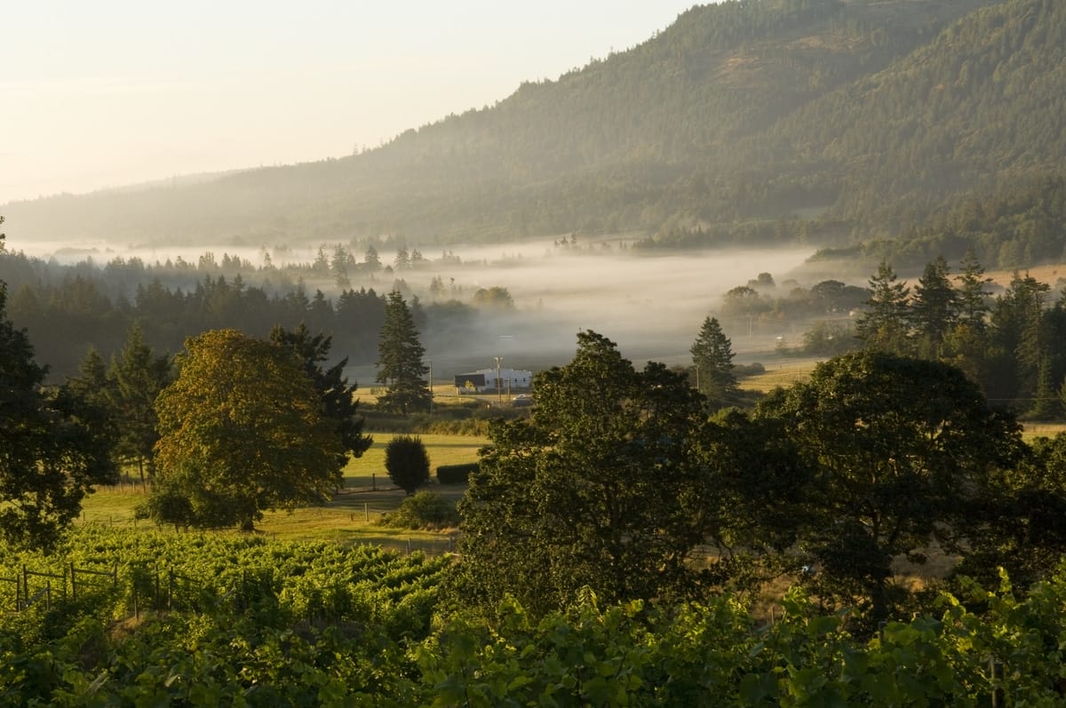 airbnb in salt spring island