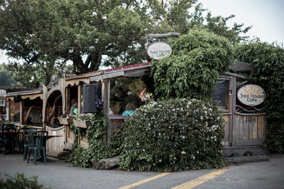 Salt Spring Tree House Cafe