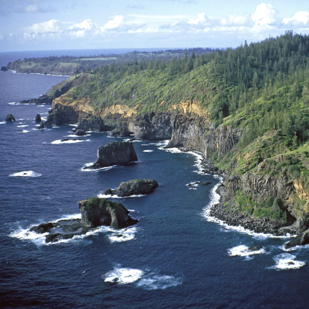 floatplane safari