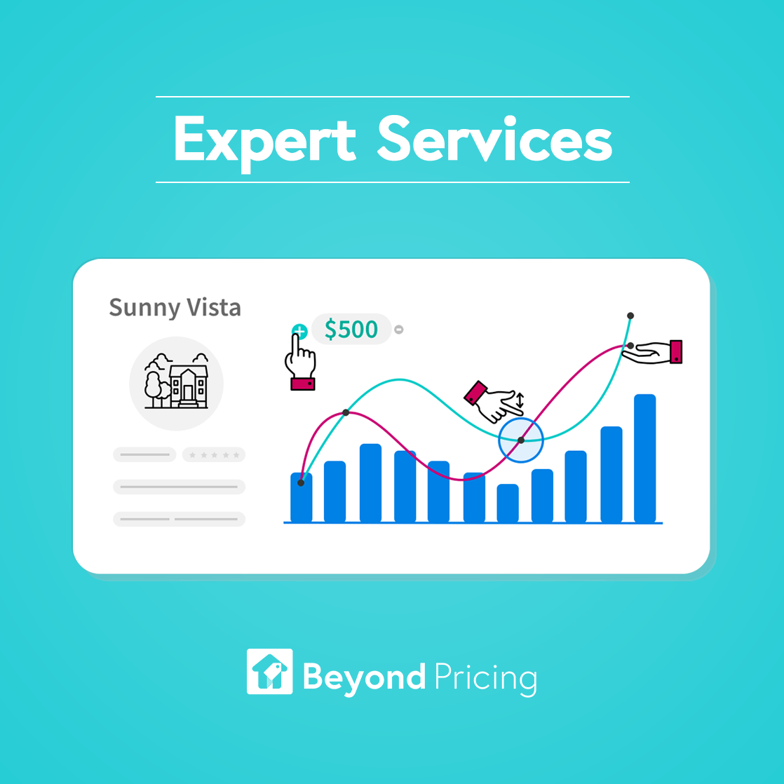 Beyond Pricing Expert Services