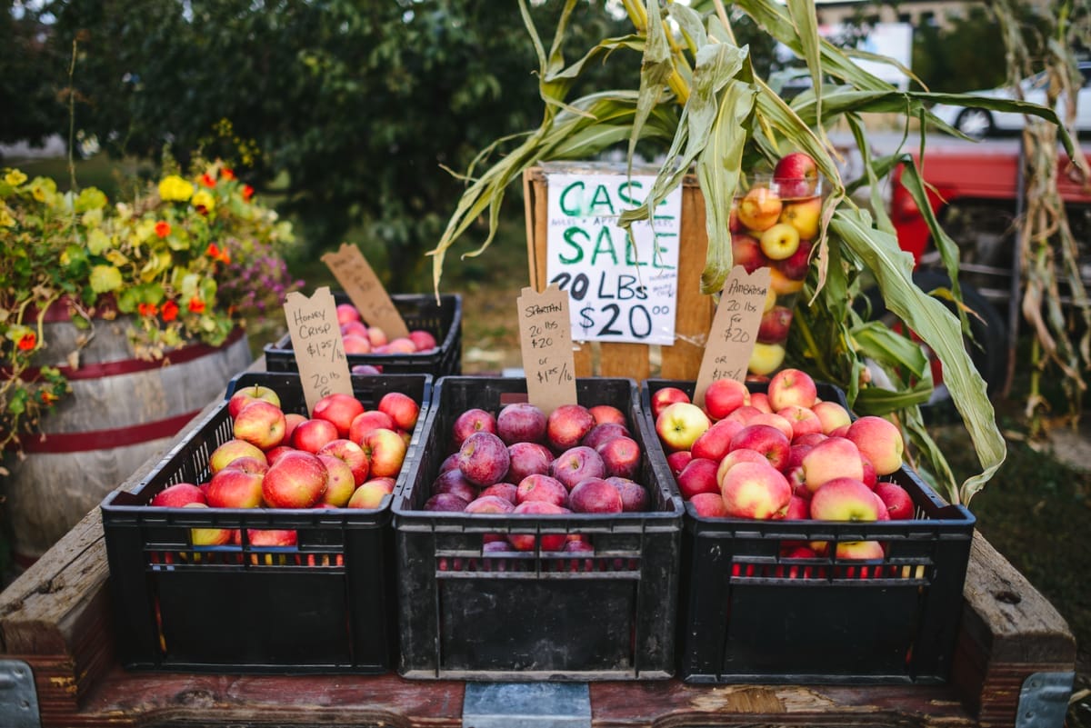 Kelowna thing to do Cidery