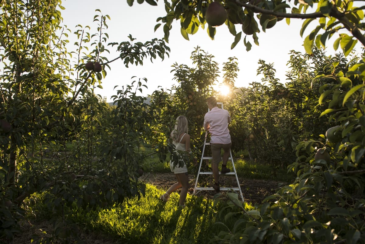 Kelowna Upick