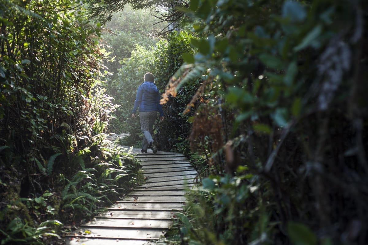 Rainforest Trail, Tofino