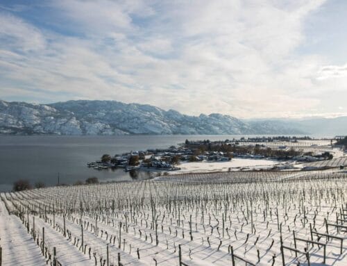 Best Wineries to visit in West Kelowna